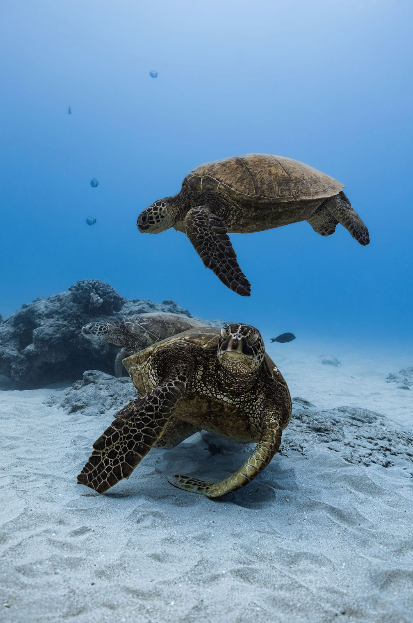Fall 2025